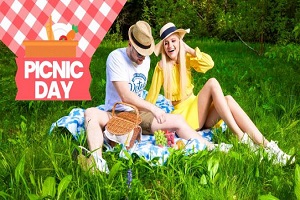 Novella Night – Picnic day