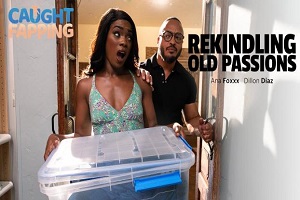 Ana Foxxx – Rekindling Old Passions